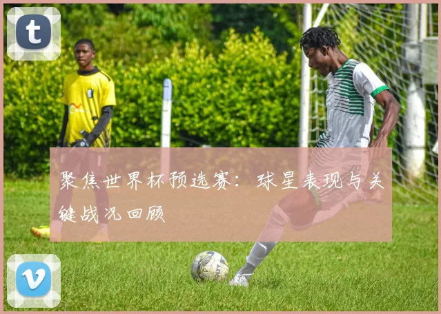 聚焦世界杯预选赛：球星表现与关键战况回顾