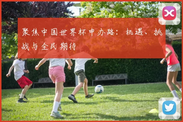 聚焦中国世界杯申办路:机遇、挑战与全民期待