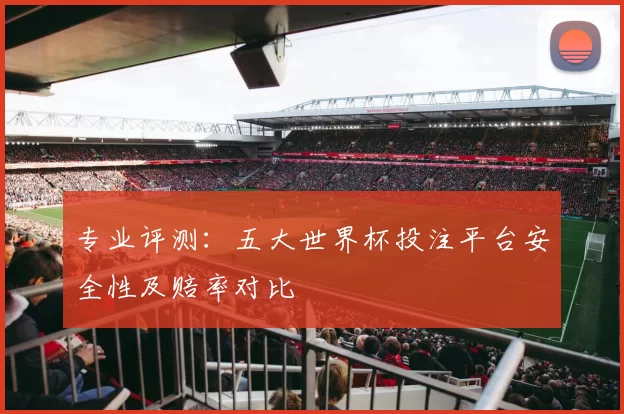 专业评测：五大世界杯投注平台安全性及赔率对比