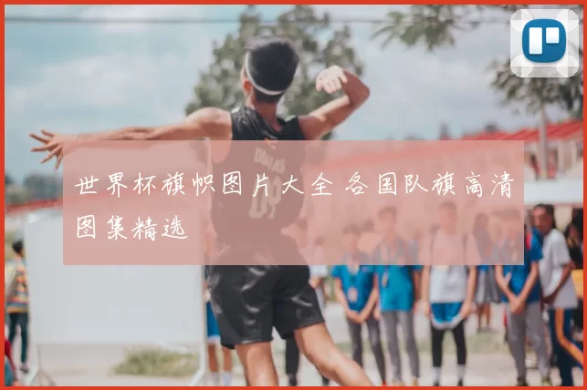 世界杯旗帜图片大全 各国队旗高清图集精选