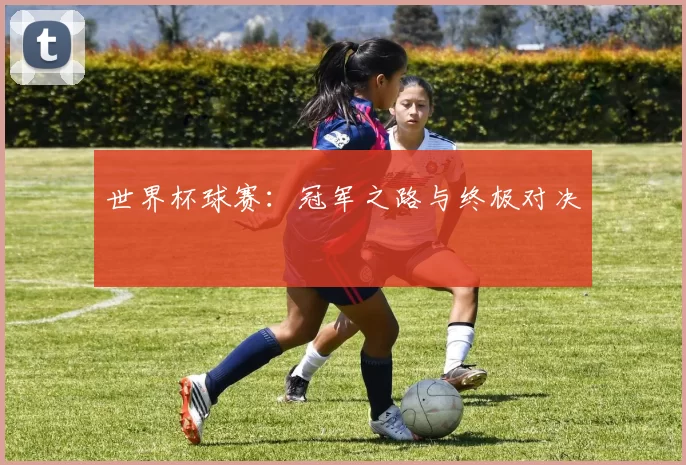 世界杯球赛：冠军之路与终极对决