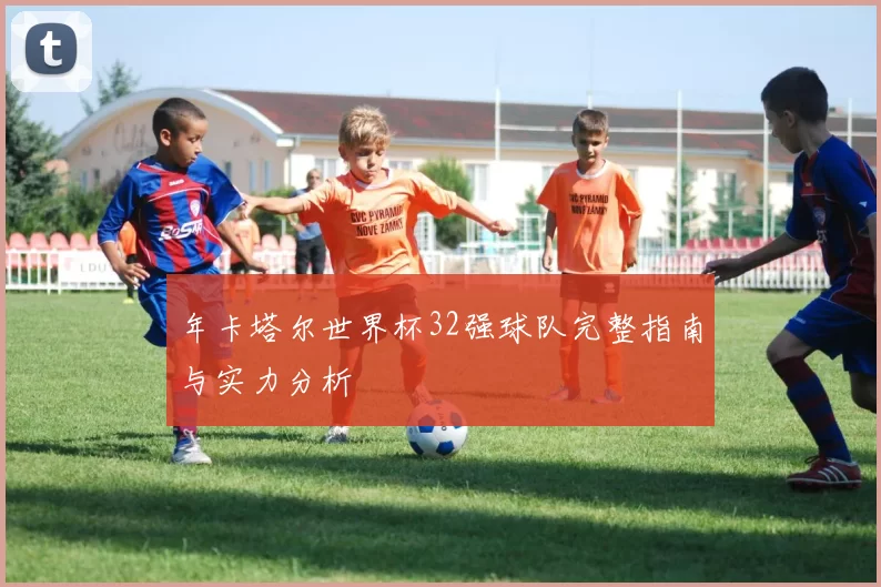 年卡塔尔世界杯32强球队完整指南与实力分析