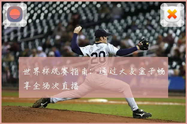 世界杯观赛指南：通过大麦盒子畅享全场次直播