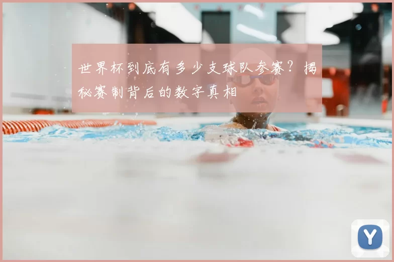 世界杯到底有多少支球队参赛？揭秘赛制背后的数字真相