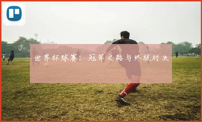 世界杯球赛：冠军之路与终极对决
