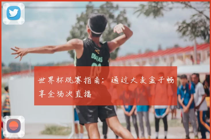 世界杯观赛指南：通过大麦盒子畅享全场次直播