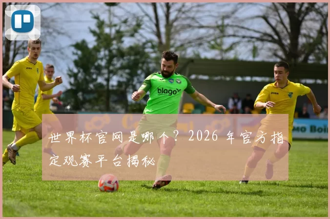 世界杯官网是哪个？2026 年官方指定观赛平台揭秘
