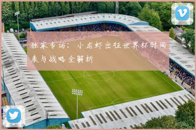 独家专访：小龙虾出征世界杯时间表与战略全解析