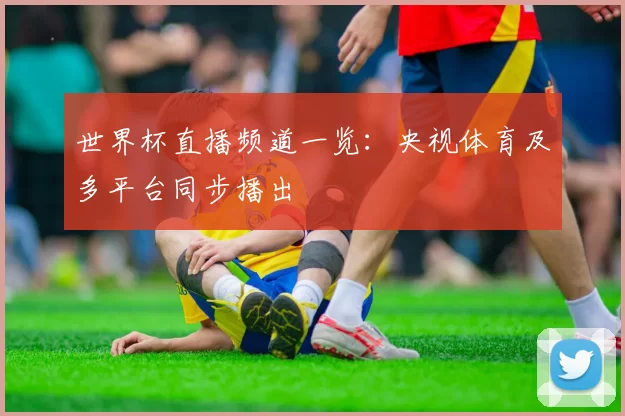 世界杯直播频道一览:央视体育及多平台同步播出