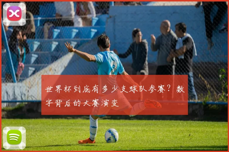 世界杯到底有多少支球队参赛？数字背后的大赛演变