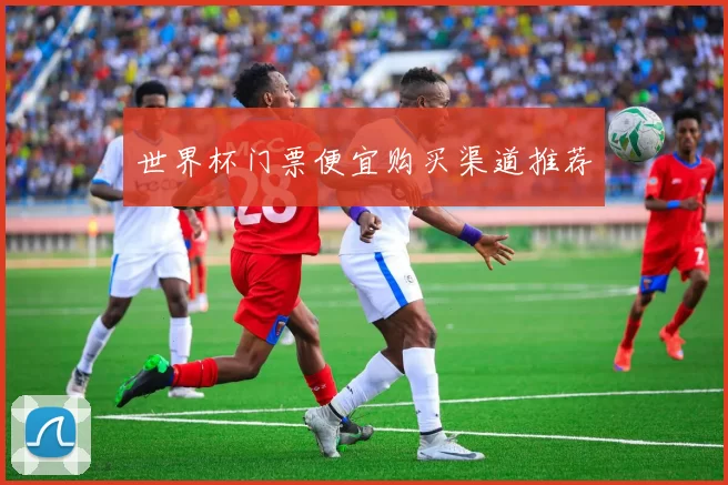 世界杯门票便宜购买渠道推荐