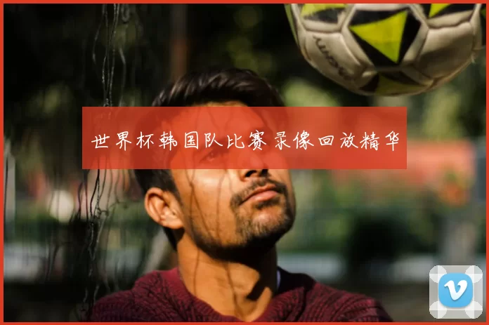 世界杯韩国队比赛录像回放精华