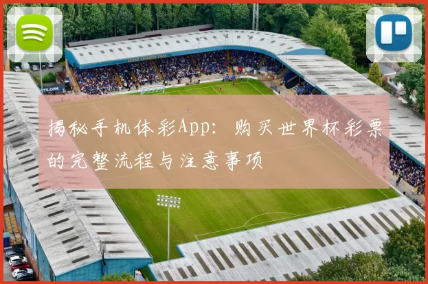 揭秘手机体彩App：购买世界杯彩票的完整流程与注意事项