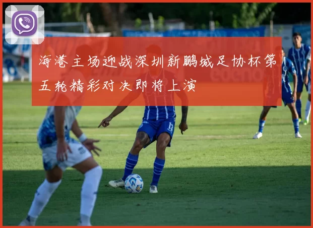 海港主场迎战深圳新鹏城足协杯第五轮精彩对决即将上演