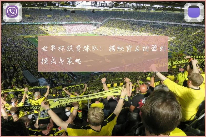 世界杯投资球队：揭秘背后的盈利模式与策略