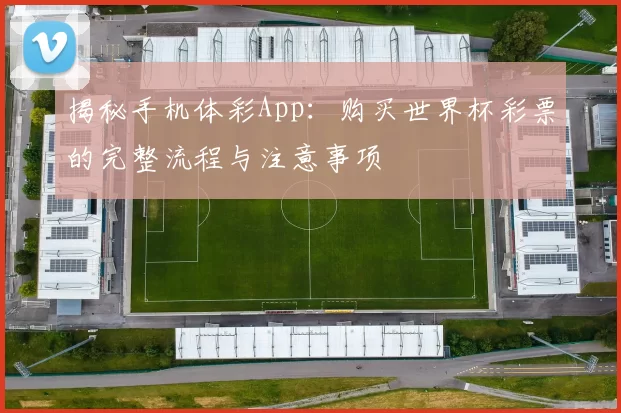 揭秘手机体彩App：购买世界杯彩票的完整流程与注意事项
