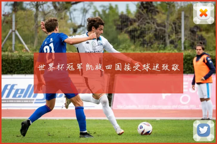 世界杯冠军凯旋回国接受球迷致敬