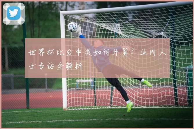 世界杯比分中奖如何计算?业内人士专访全解析
