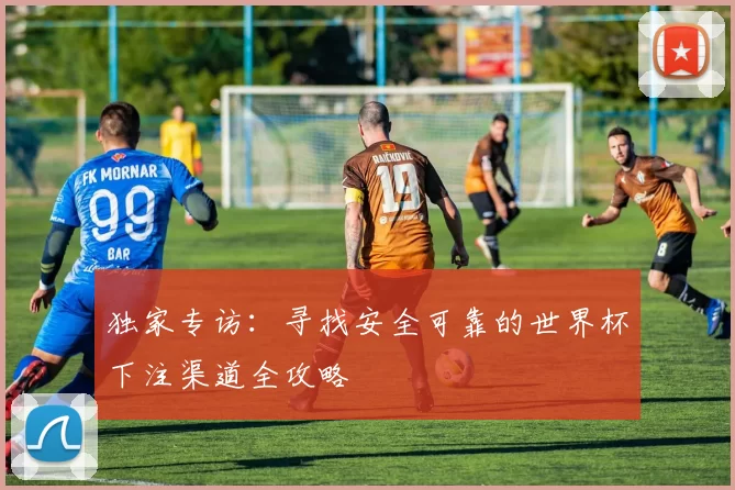 独家专访：寻找安全可靠的世界杯下注渠道全攻略