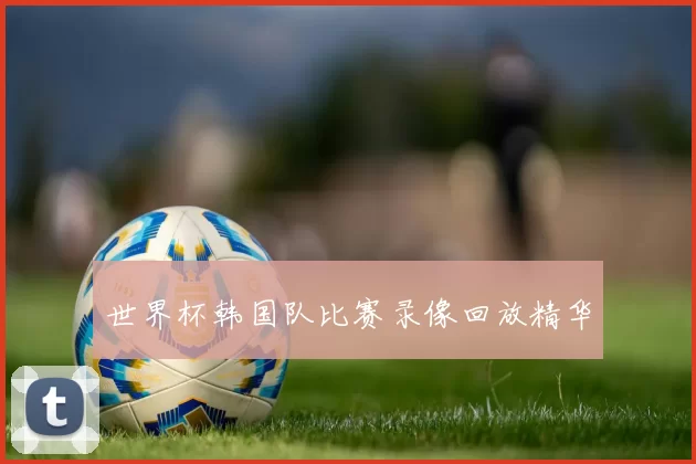 世界杯韩国队比赛录像回放精华