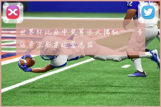 世界杯比分中奖算法大揭秘——专访资深彩票运营总监