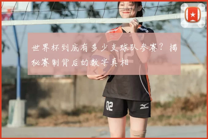 世界杯到底有多少支球队参赛？揭秘赛制背后的数字真相