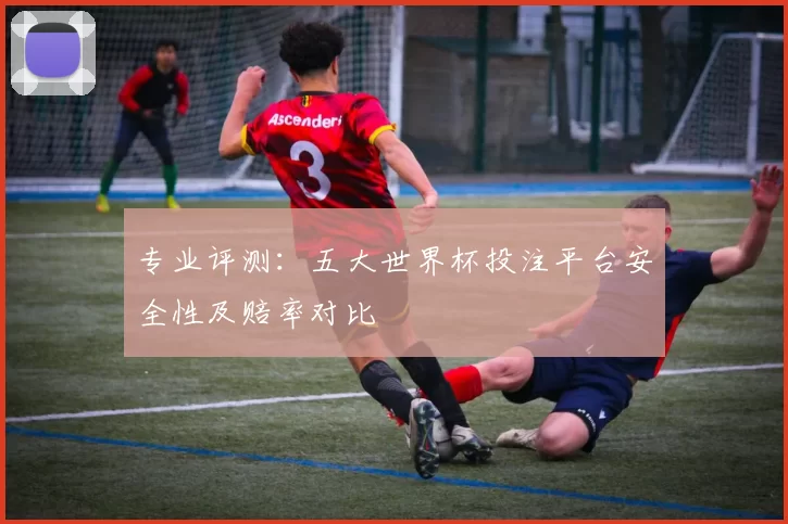 专业评测：五大世界杯投注平台安全性及赔率对比