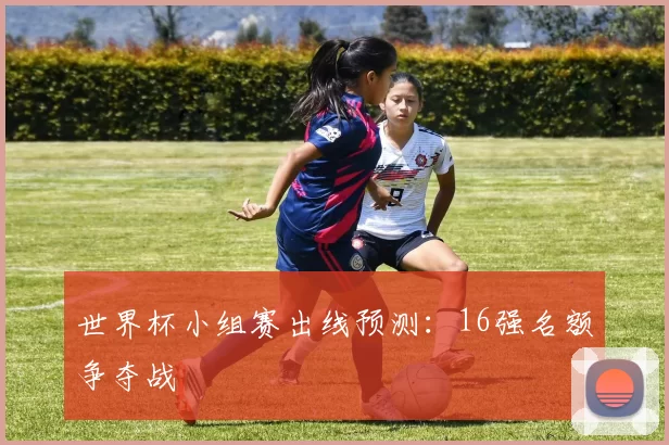 世界杯小组赛出线预测：16强名额争夺战