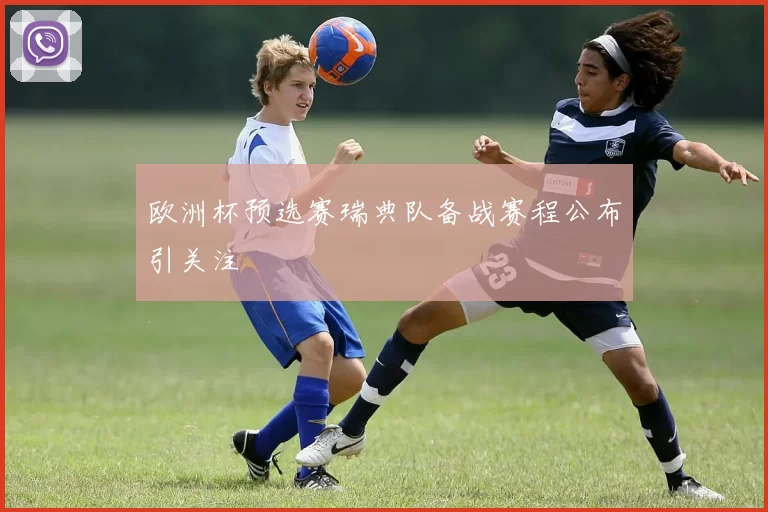 欧洲杯预选赛瑞典队备战赛程公布引关注